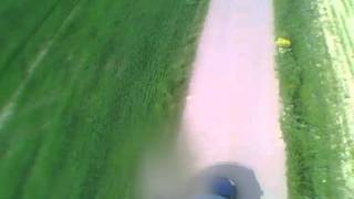 car-kiting
