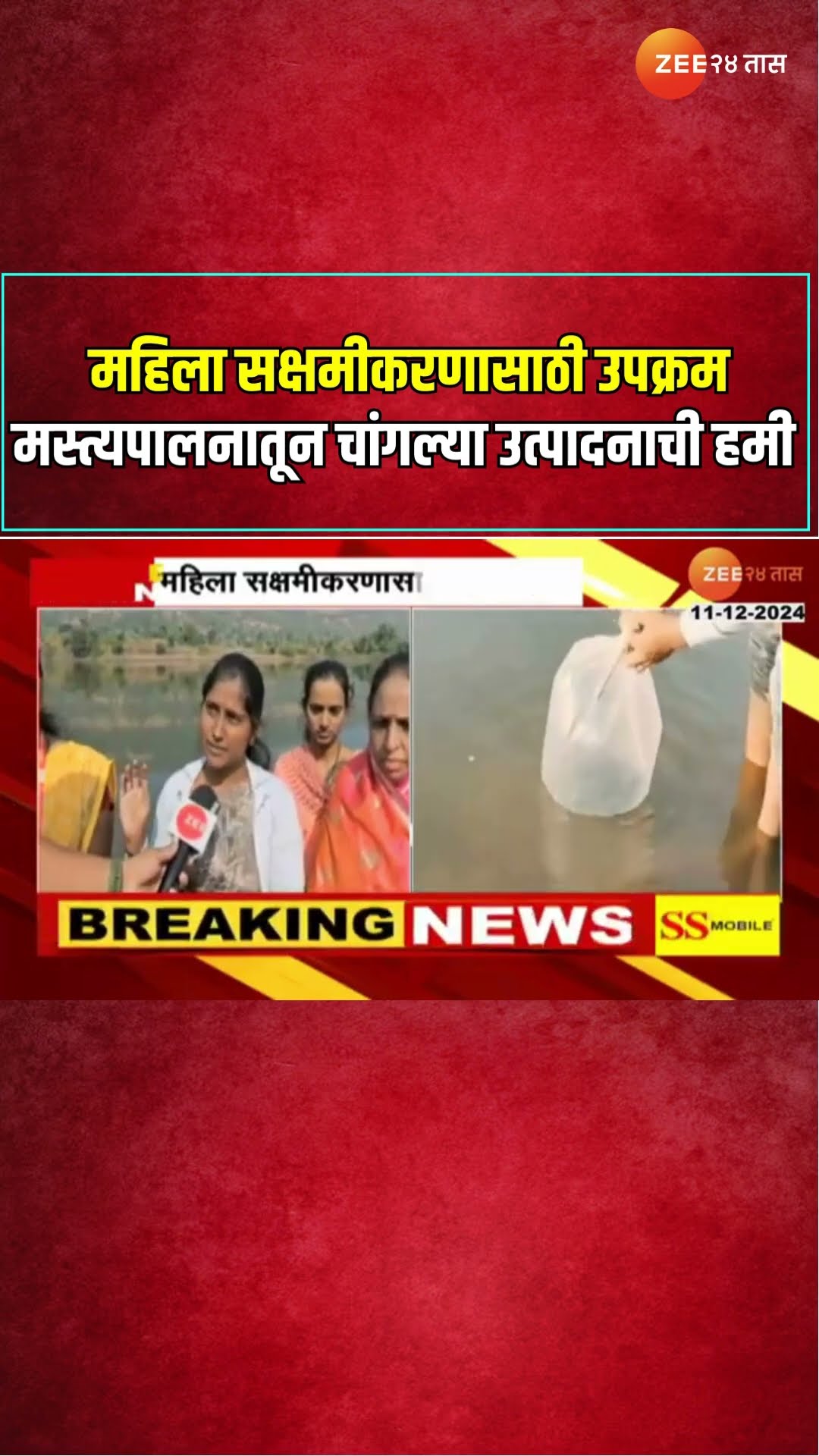 Satara Scheme For Woman | महिला सक्षमीकरणासाठीचा उपक्रम; पाझर तलावात मत्स्य व्यवसाय | Zee24Taas