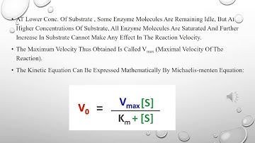 MM Equation & LB plot