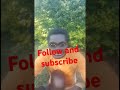 Simba Ana Ujumbe Simba Ana Ujumbe