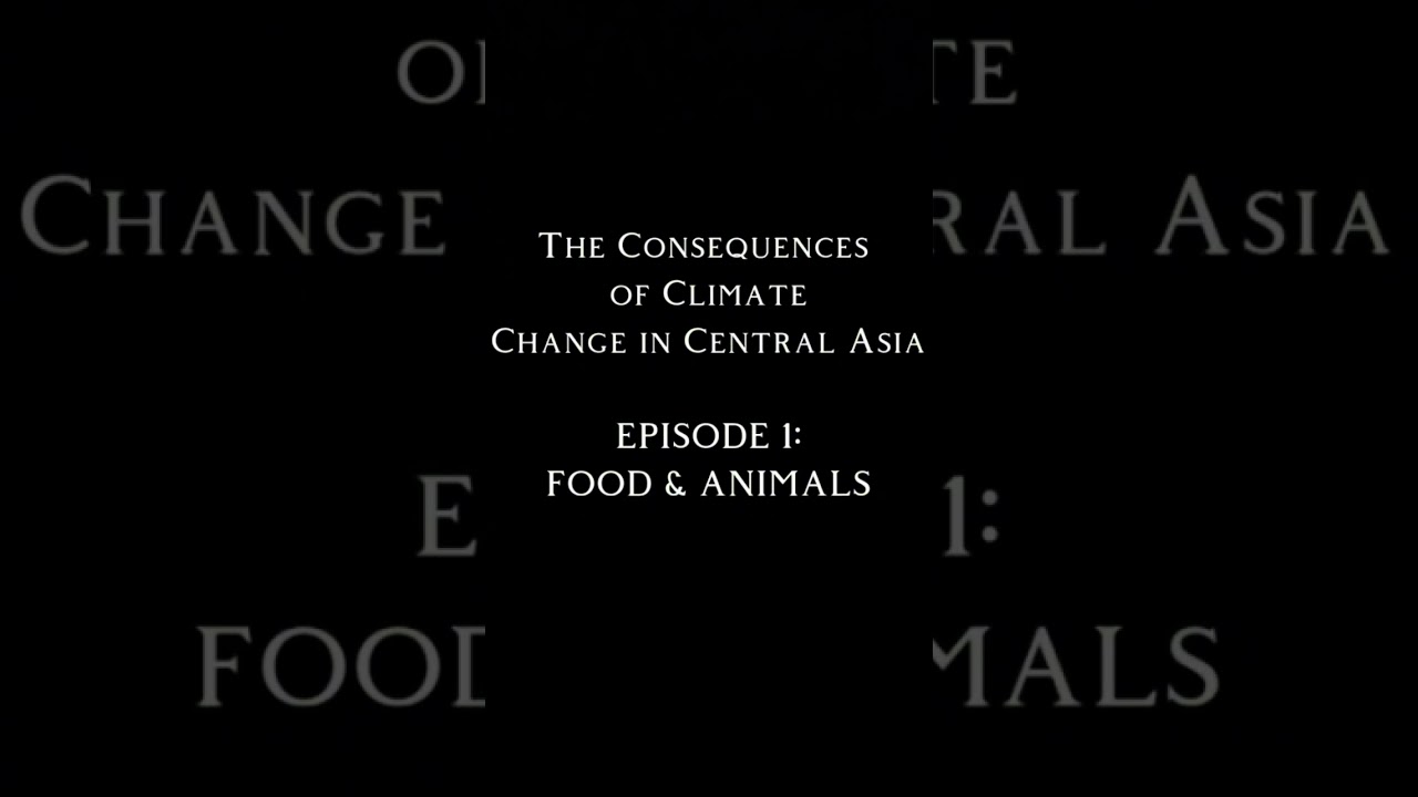 The consequences of climate change in Central Asia