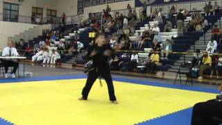 Hap Ki Do Open Hand Form