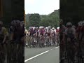2024 Lloyds Tour of Britain Women - Watch the peloton outrun a herd of cows