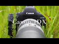 Canon 1DX - Oldie But Goldie