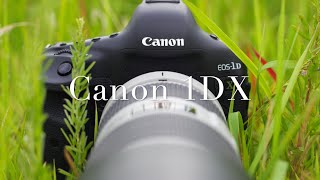 Canon 1DX - Oldie But Goldie