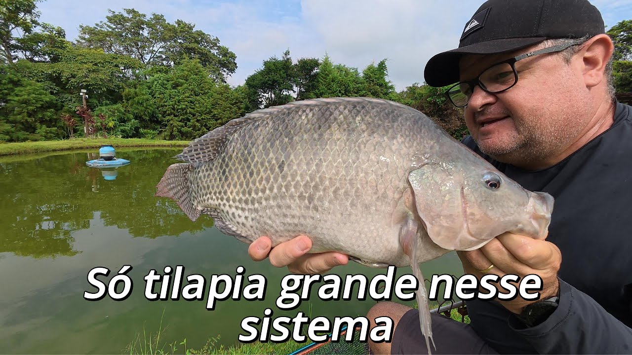 Com essa técnica fica fácil pegar as tilápias !!