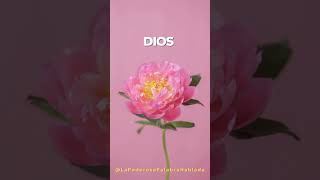 🔥Frases Cristianas para FORTALECER tu ESPIRITU - MOTIVACION CRISTIANA para el Alma - Short #62