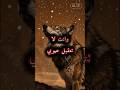 حكم وأقوال ملهمه عن واقع الحياة حياة حكم أقوال  إلهام تحفيز نصائح حياتية