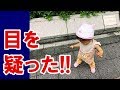 海外の反応「こんな幼い子までが!」幼児のとった行動に外国人観光客がびっくり仰天した出来事とは!?