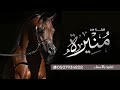 شيلة مدح باسم منيره الا يالعذارى شوفو الزين شلونه اداء سعد محسن حصريا 2025 