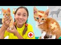 Sofia Rescues Kitten & Takes It to the Vet 🐱