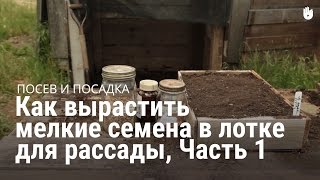 Научитесь создавать лоток для рассады (маленькое семя) 1-2