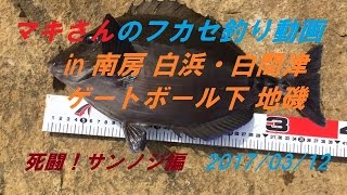 フカセ釣り　in　白浜 白間津 ゲートボール下　メジナ サンノジ（ニザダイ）