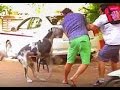 $EX EDUCATION PRANK 