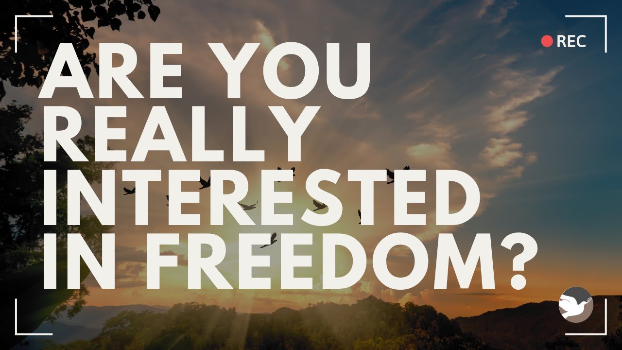 Are You Really Interested In Freedom? - YouTube