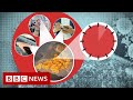 New video by BBC News on YouTube