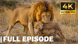 Deadliest Predators  Only the Strongest Survive | FULL EPISODE | Wildlife Documentary