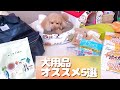 うちの犬が愛用しているオススメ犬用品を紹介します【トイプードルのアルちゃん】