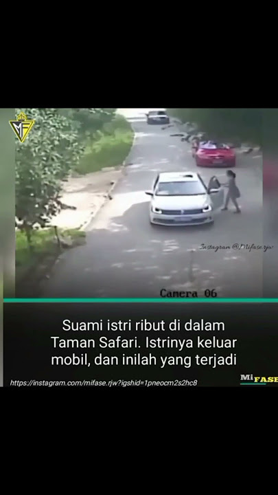 Jangan Tonton Kl Gak Kuat “ Suami istri Bertengkar Di Dalam Taman Safari dan Inilah Yg Terjadi