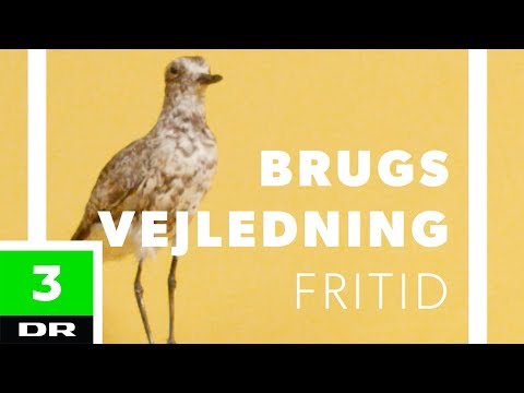 Video: Jernforbindelser. Jern: fysiske og kemiske egenskaber