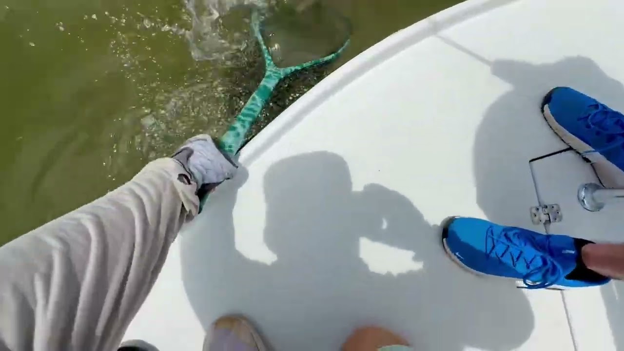 Nothing but redfish all day! Clearwater fishing charters at its best! Tightlines Charter