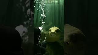 Divers discover terrifying prehistoric snake | นักดำน้ำค้นพบงูยุคก่อนประวัติศาสตร์ที่น่าสะพรึงกลัว