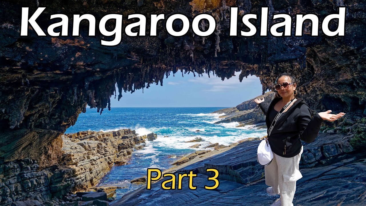 Kangaroo Island Part 3 Our Honeymoon YouTube