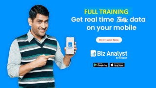 Biz Analyst Application Full Demo Tally to Mobile App screenshot 2