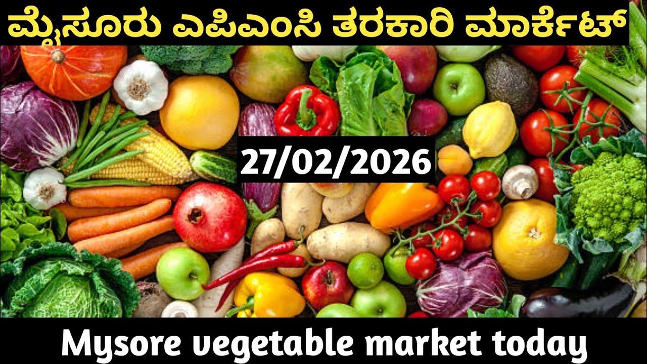 ಮೈಸೂರು ಮಾರುಕಟ್ಟೆ ತರಕಾರಿ ದರಗಳು/Mysore APMC marketvegetable pricestoday|ಟೊಮೇಟೊ 27-02-2026.#ಮೈಸೂರ್