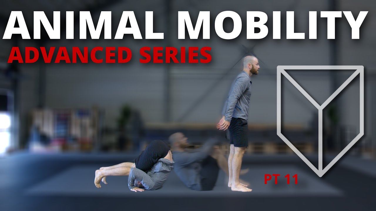 Strong and Mobile - 20 Minute Movement Routine (Follow Along)