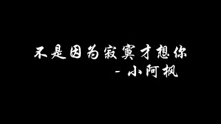 不是因为寂寞才想你 小阿枫 歌词音乐