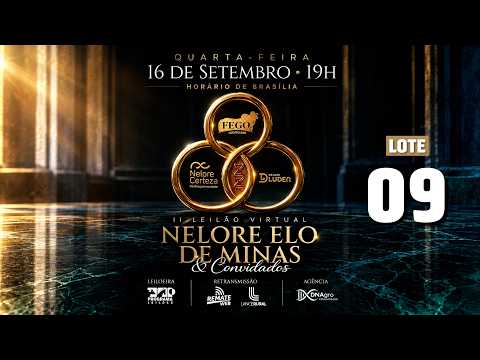 LOTE 09   FHGA 593