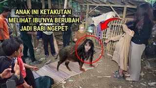 Download lagu 🔴 VIRAL!! THIS CHILD IS TERRIFIED AFTER SEEING THEIR MOTHER TRANSFORM INTO A BABI NGEPET (SHAPE-S...
