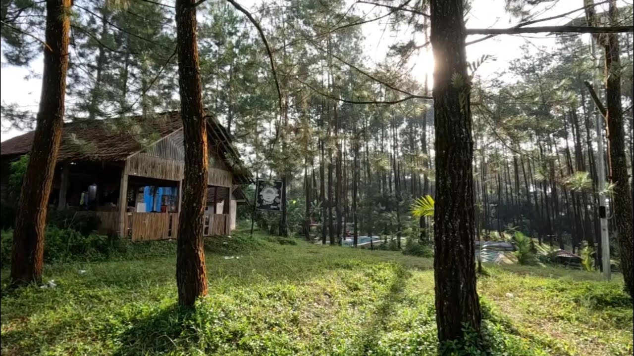 Рассветная жизнь в деревне Варанган Варунг, Вонособо | Готовим на кухне