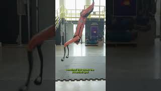 Spot Robot Learns Crazy New Moves!