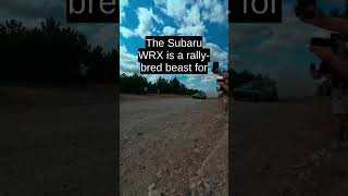 Top 10 Budget Beasts of 2026: Insane Performance for Under $30k | DarkBrainScroll #Shorts