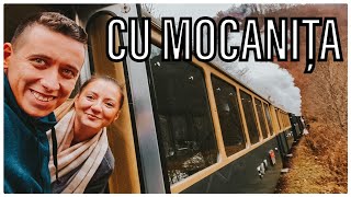 TOT ce trebuie sa știi despre MOCĂNIȚA de pe Valea Vaserului - Vlog 1040