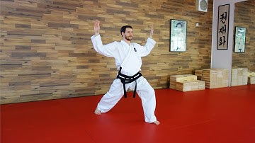 18. HYONG - CHOI-YONG - Taekwondo Form