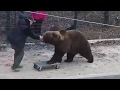 Медведь осваивает скейтборд 🐻🛷/Bear Mansur