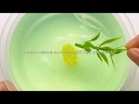가정폭력 피해자라고 주장 및 산돌 불다 늇댕 공론화 가정폭력시리즈 액괴시리즈 시리즈소규모 소귬 소규모시리즈 주작공론화 시리즈 액괴 액체괴물 슬라임 액괴실즈 산돌고딕 불법다운 공론화