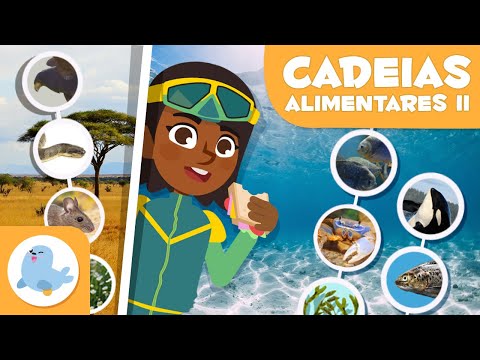 CADEIAS ALIMENTARES para crianças 🌱⬅🐝⬅🐦⬅🐺 Terrestres e aquáticas 🌼 Episódio 2