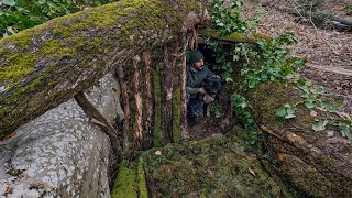 BUSHCARFT CAMP and WARM SURVIVAL SHELTER - Winter Camping in a Snowstorm with My Dog - Primitive