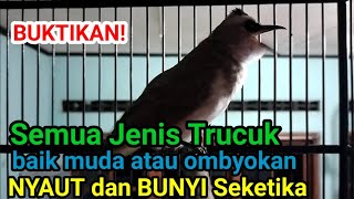 Download Lagu trucukan gacor TARUNG ROPEL PANJANG pancingan trucukan agar BUNYI dan EMOSI MP3