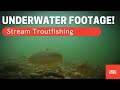 troutfishing underwater