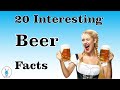 20 Interesting Facts About Beer