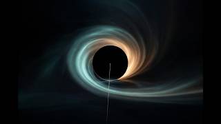 Echoform: The Companion's Pulse