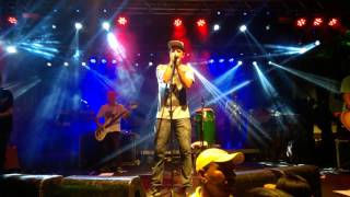 Tô no Barato - Planta e Raiz Ao vivo em Salvador