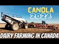 Canola goes in the ground