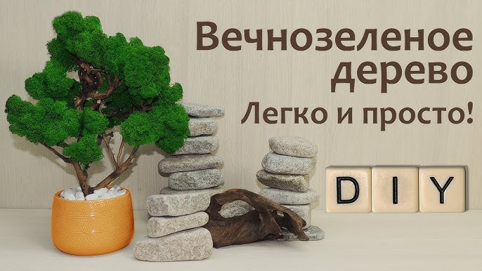 Все, что нужно знать о топиарии: материалы, частые ошибки, мастер-класс для новичков