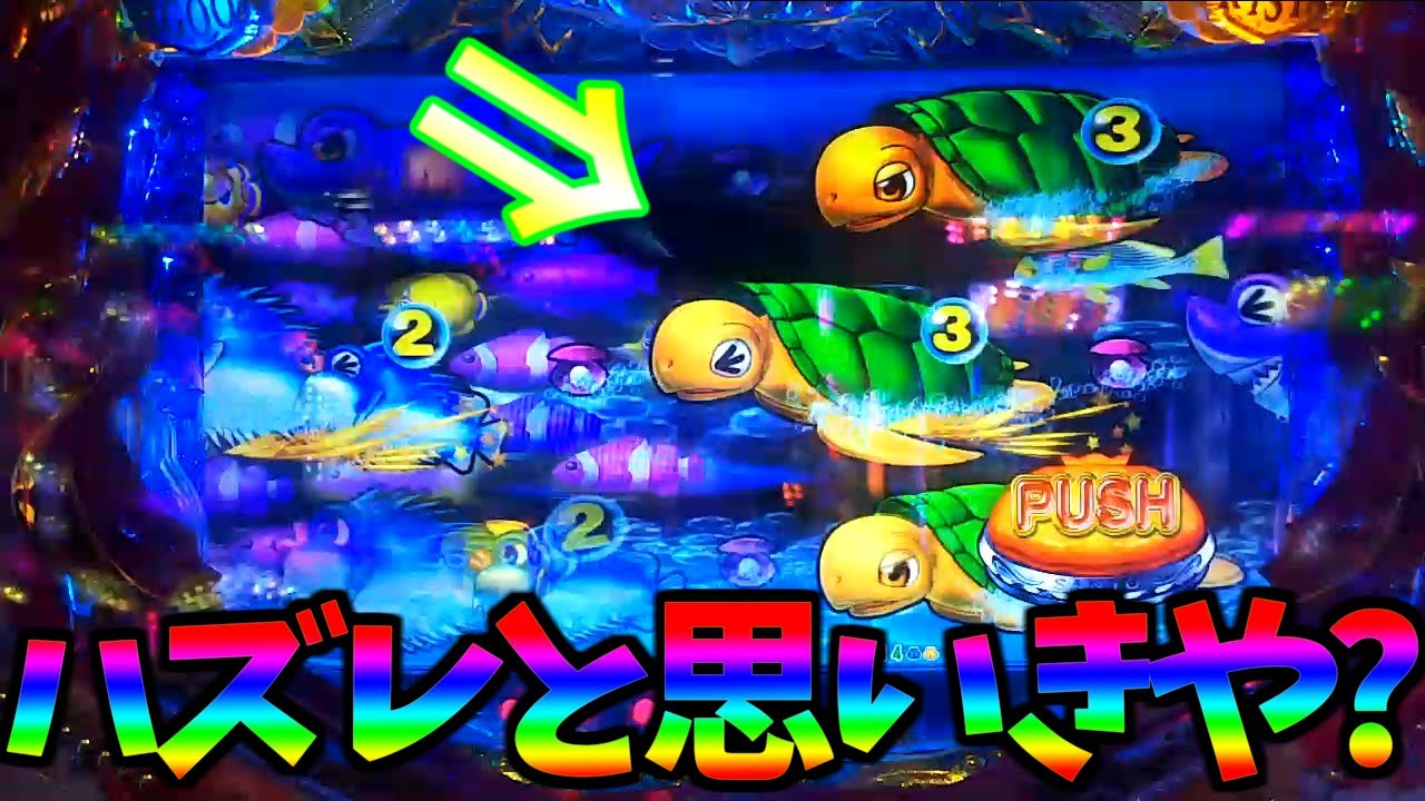 1000以上 海 物語 魚群 画像 8724 海 物語 魚群 画像